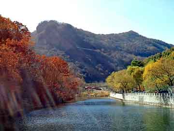 管家婆黑白马报图库，变压器铝带